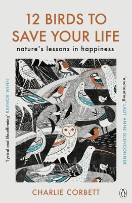 12 Birds To Save Your Life: Nature's Lessons In Happiness